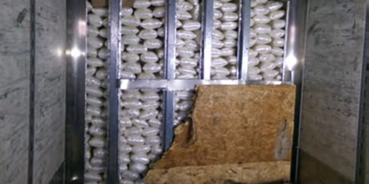 CBP Makes Massive Meth Seizure at California Border Crossing