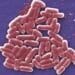CCP Member and Biology Researcher at U.S. University Guilty in E. Coli DNA Smuggling Scheme From China – RedState