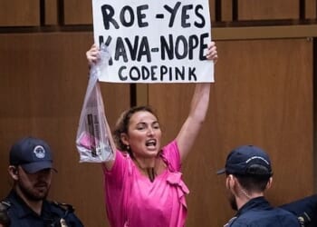 Code Pink should lose tax-exempt status, watchdog group tells IRS * WorldNetDaily * by Tyler O'Neil, The Daily Signal
