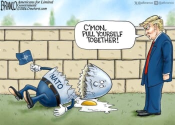 Had a great fall ... * WorldNetDaily * by A.F. Branco