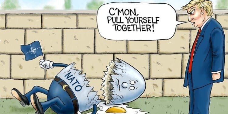 Had a great fall ... * WorldNetDaily * by A.F. Branco