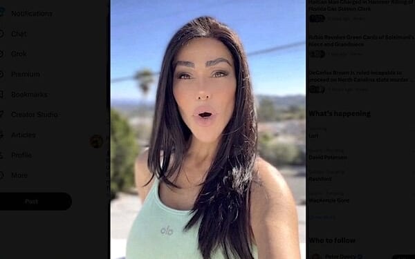 Hamideh Soleimani Afshar (TikTok)