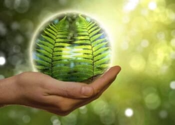 (Image courtesy Pixabay)