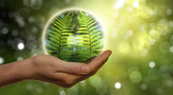 (Image courtesy Pixabay)