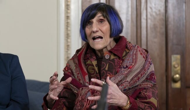Lee Zeldin Drops the Receipts on Rosa DeLauro in Fiery Budget Hearing Exchange – RedState