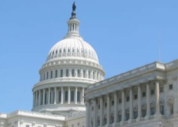 Our politicians hate us * WorldNetDaily * by Laura Hollis