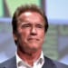 Arnold Schwarzenegger (Photo: Flickr/Gage Skidmore)