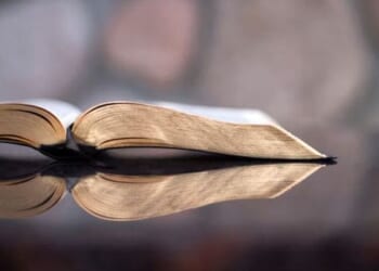 The case for joy in Ecclesiastes * WorldNetDaily * by Michael Brown