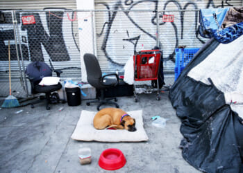 A dog sitting on its bed on the concrete outside on Skid Row surrounded by trash.