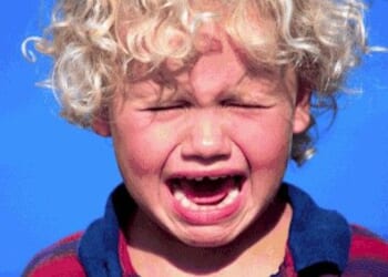Dems, media allies go bonkers when court rejects their takeover plan for Congress * WorldNetDaily * by Bob Unruh