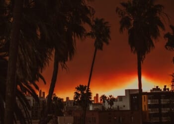 Bass, Raman Left Sputtering As Spencer Pratt Brings Savage 'Reality' Star Power to LA Mayoral Debate – RedState