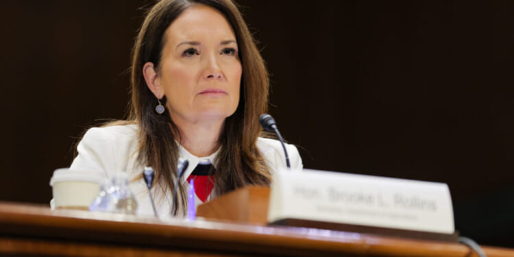 Agriculture Secretary Brooke Rollins. (Heather Diehl/Getty Images)