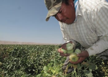 Free Solar Panels for Illegal Aliens – RedState
