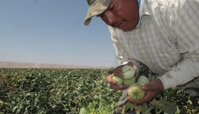 Free Solar Panels for Illegal Aliens – RedState