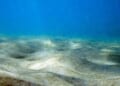 Ocean floor (image courtesy Pixabay)