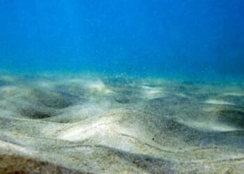 Ocean floor (image courtesy Pixabay)