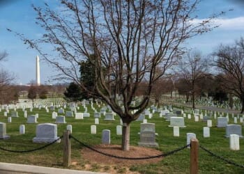 Gold Star Wife Asked for Photos of Her Husband's Arlington Cemetery Grave — and Then the Magic Happened – RedState