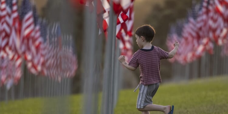 A boy runs among U.S. flags in a field
