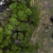 Light plane crashes in Texas Hill Country, 4 pickleball competitors and pilot dead * WorldNetDaily * by Bob Unruh