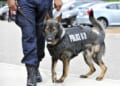 Powerhouse K-9s, and a Tearful Reunion, Are Your Weekend Palate Cleansers – RedState