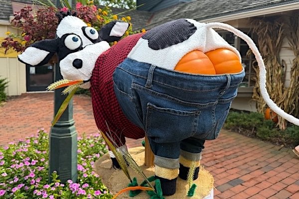 A bovine scarecrow on display Sunday, Sept. 28, 2025, at Peddler's Village in Lahaska, Pennsylvania (Photo by Joe Kovacs)