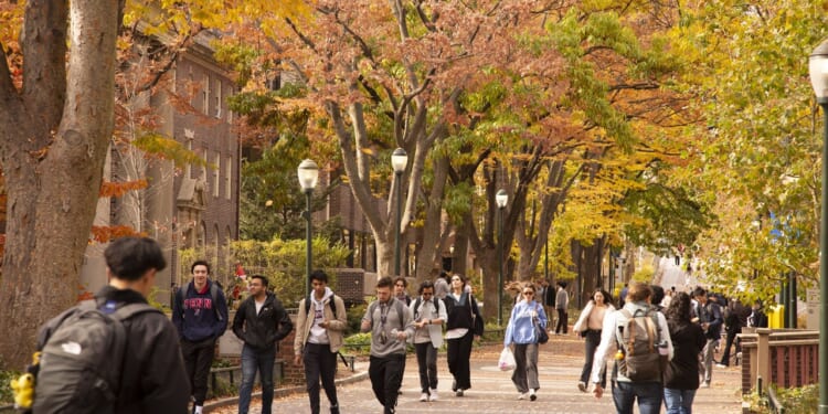 Students talking on a path in the fall