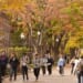 Students talking on a path in the fall