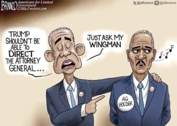 Teamwork * WorldNetDaily * by A.F. Branco