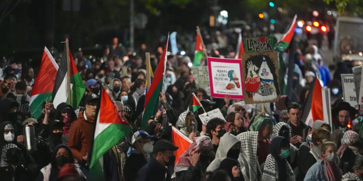 Anti-Israel protesters rally against an Israeli real estate event at Young Israel Synagogue of Midwood, Brooklyn, New York, May 11. (Photo by Selcuk Acar/Anadolu via Getty Images)