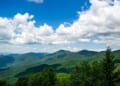 (Photo by Clark Wilson on Unsplash)