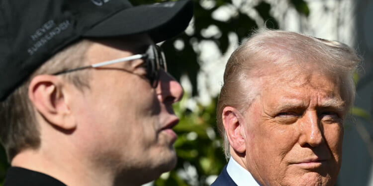 Elon Musk and Donald Trump. (Mandel Ngan/AFP/Getty Images)