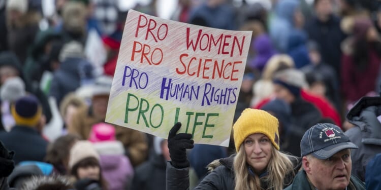 A protester holds a sign that says "Pro women pro science pro human rights pro life"