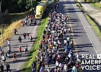 Biden’s Mexico ambassador lashes out at Dem border failures, issues warning for 2028 candidates * WorldNetDaily * by WND Staff
