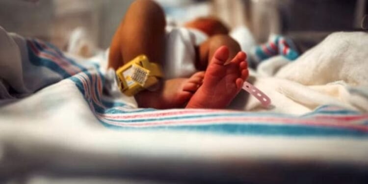 Abortion industry promoters find new way to threaten members of pro-life movement * WorldNetDaily * by Spencer Lombardo, Daily Caller News Foundation