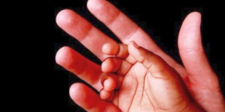 End of the line for huge Christian adoption agency referring to LGBT duos * WorldNetDaily * by WND Staff