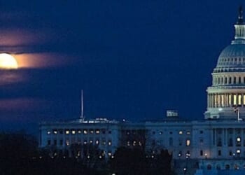 Inside the numbers * WorldNetDaily * by Lauren Boyer, Real Clear Wire