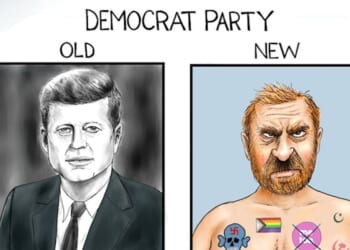 Party in decline