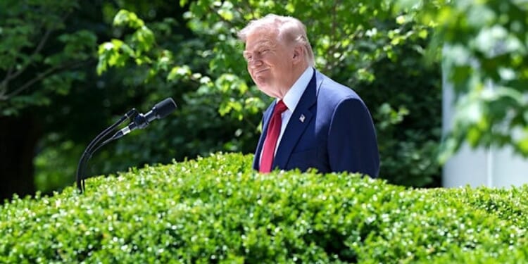 Trump has fresh plan to pass SAVE America Act * WorldNetDaily * by Elizabeth Troutman Mitchell, The Daily Signal