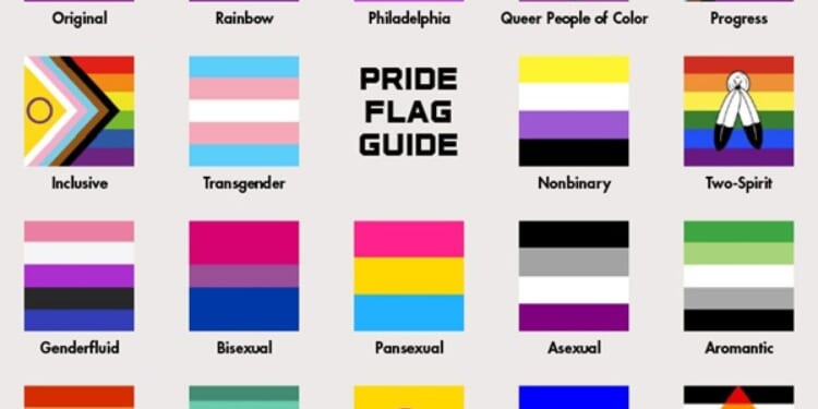 School wants students to know ALL 19 ‘Pride’ flags and what they mean * WorldNetDaily * by Bob Unruh