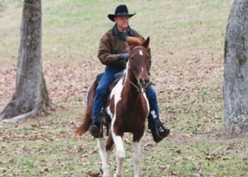 Judge Roy Moore asks Supreme Court to secure $8.2 million defamation judgment * WorldNetDaily * by Bob Unruh