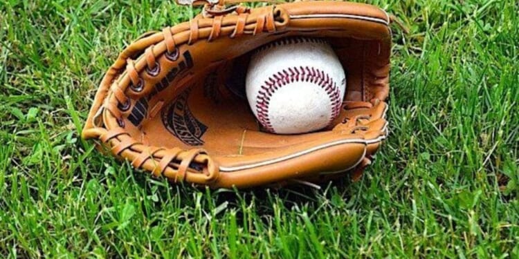 Minor league team reveals stunning result after players reject social agenda * WorldNetDaily * by Bob Unruh