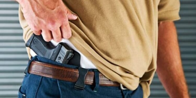 Florida concealed carry law violates 2nd Amendment, court rules * WorldNetDaily * by Joseph Buff, The Daily Signal