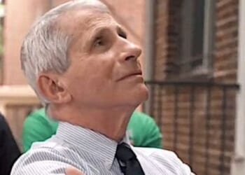 5 explosive findings declassified by Tulsi Gabbard * WorldNetDaily * by Emily Kopp, Daily Caller News Foundation