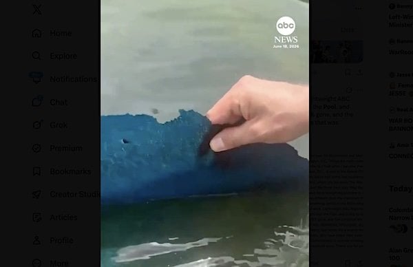 Jonathan Karl of ABC News inspecting damage to the Lincoln Reflecting Pool in June 2022 (Video screenshot)