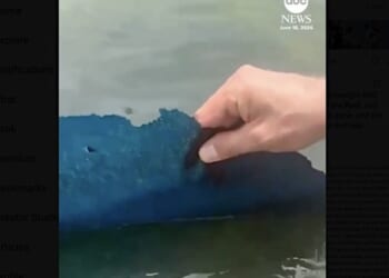 ‘DERANGED!’ Trump pushes 10 years in prison for vandals who left ‘300 foot long gash’ and dumped chemicals in Reflecting Pool