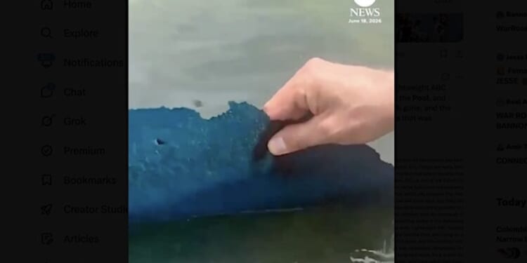 ‘DERANGED!’ Trump pushes 10 years in prison for vandals who left ‘300 foot long gash’ and dumped chemicals in Reflecting Pool