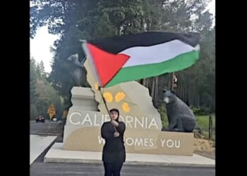 ‘Pro-Hamas radical’ waves Palestinian flag at California border, finds out in a hurry what happens next * WorldNetDaily * by Joe Kovacs