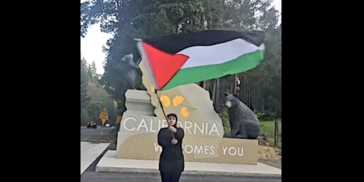 ‘Pro-Hamas radical’ waves Palestinian flag at California border, finds out in a hurry what happens next * WorldNetDaily * by Joe Kovacs