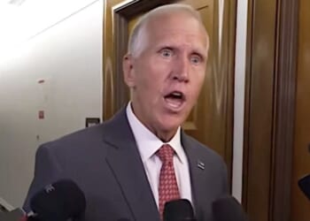 Thom Tillis pummels Pulte for firing Deep Staters, slams ‘hot-steamy pile of DOGE sh**!’ * WorldNetDaily * by Joe Kovacs