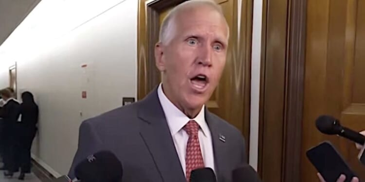 Thom Tillis pummels Pulte for firing Deep Staters, slams ‘hot-steamy pile of DOGE sh**!’ * WorldNetDaily * by Joe Kovacs